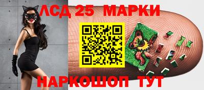 гидропоника Донской
