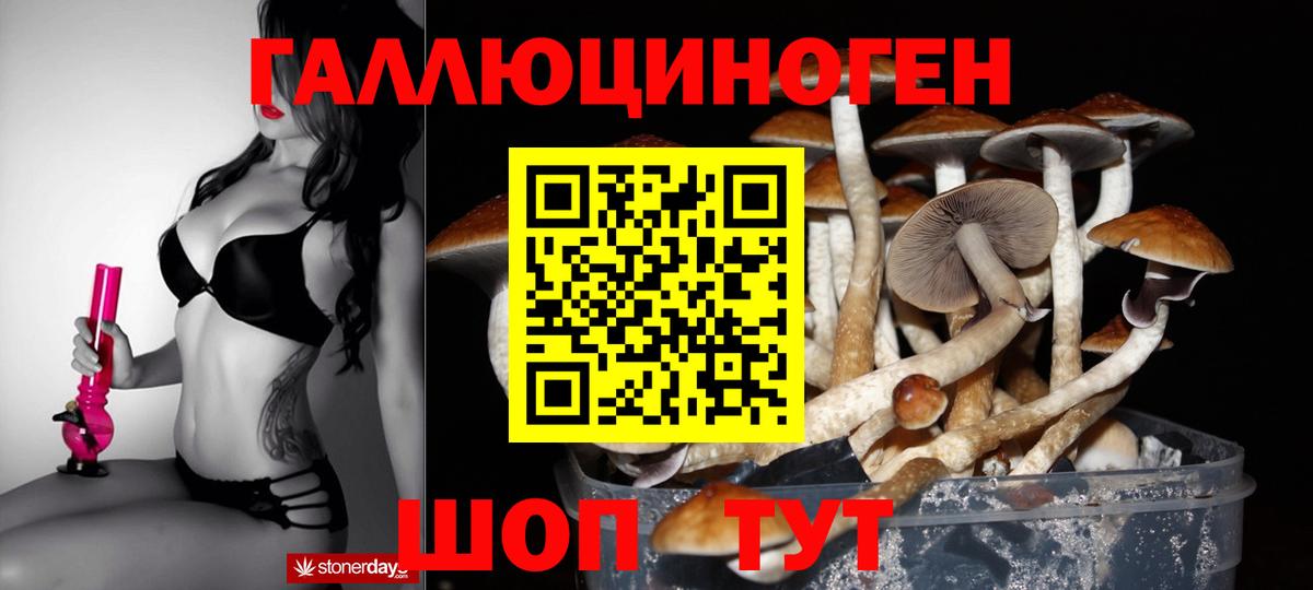 Галлюциногенные грибы ЛСД Сальск